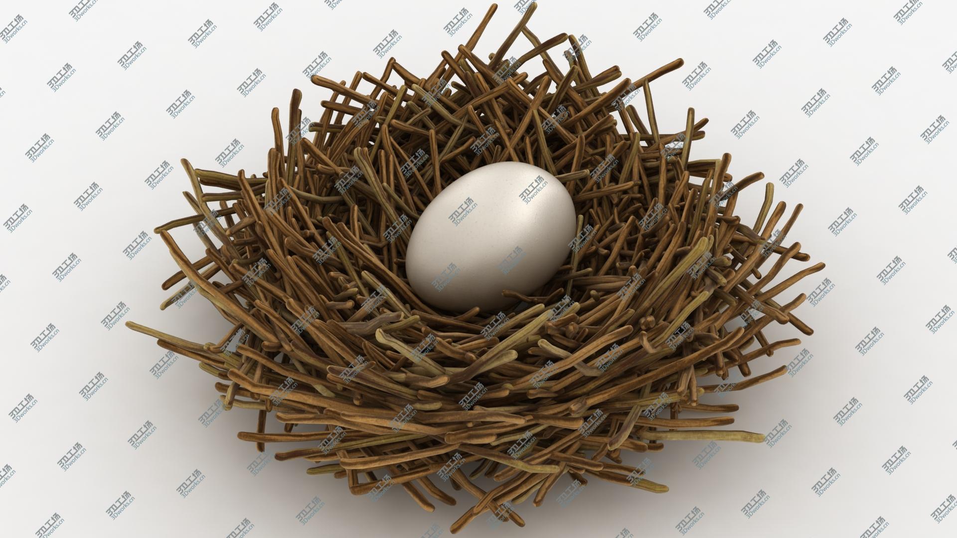 images/goods_img/202104093/Bird Nest Collection 3D model/2.jpg